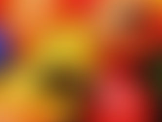 Raus aus der Opferhaltung und Stagnation – Dein Leben in die eigene Hand nehmen