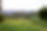 3X6A2292_.png