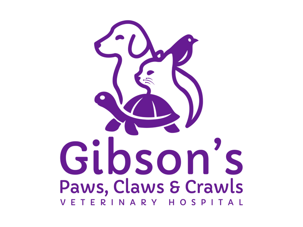 Gibson Vet (1).png