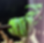 Screenshot 2025-08-15 at 8.11.30 AM.png
