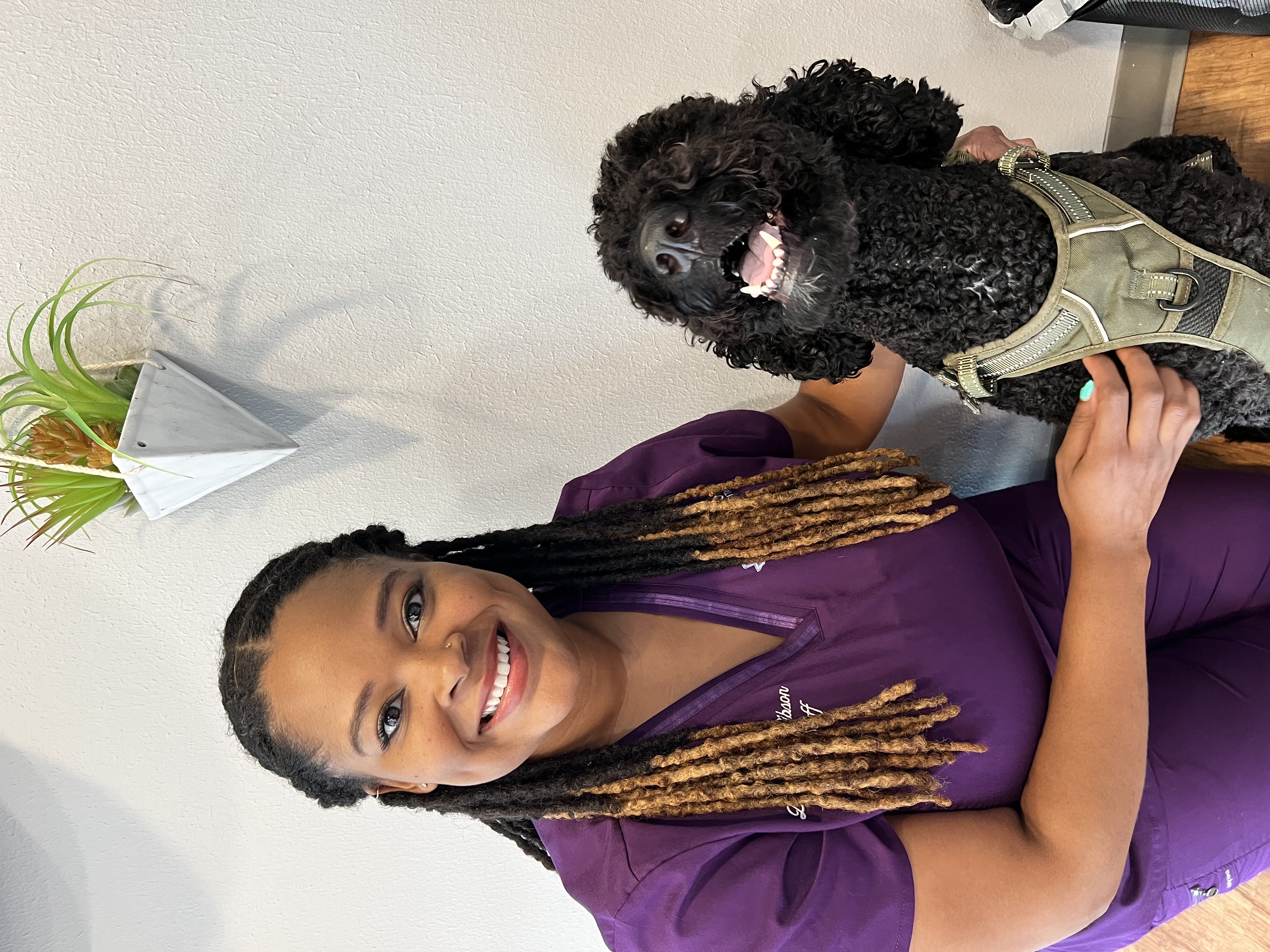 Writer: Dr. Erika Gibson