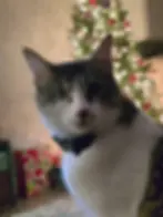 uno gpcc patient.webp