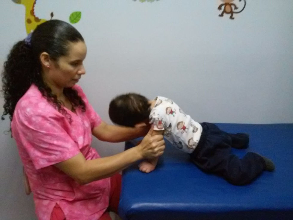 Fisioterapia (Medek)