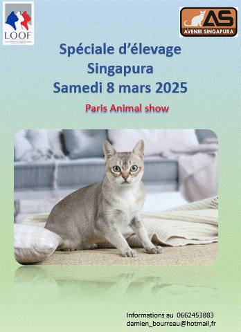 AFFICHE avenir singapura.gif