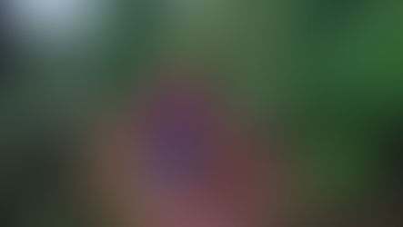 L'apport du Bureau SIM dans la construction d'un engagement pour la mission