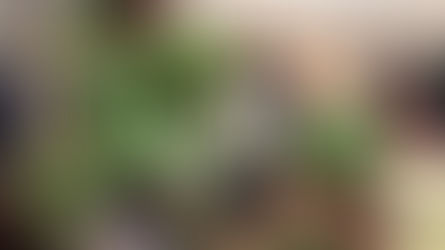 Le Nouveau Testament en langue tunen !