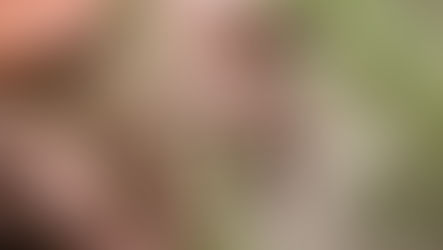 10 erreurs en mission 
(et ce que nous pouvons en apprendre)