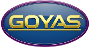 Image Asset_Wixel.png