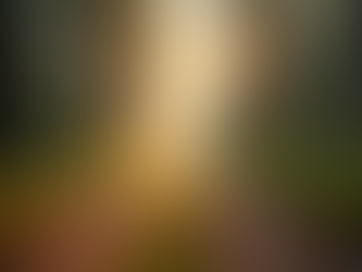 Steps to Spiritual Awakening: Navigating Your Path with Clarity and Calm