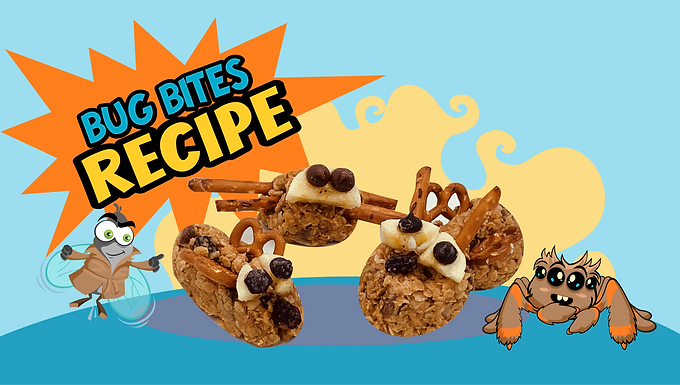 Bug Bites No-Bake Recipe Video