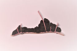 ‏‏IMG_7721 - עותק