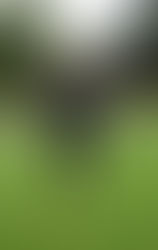 La importancia del cuidado en el terapeuta