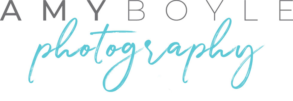 ABP logo 2019clear-2.png