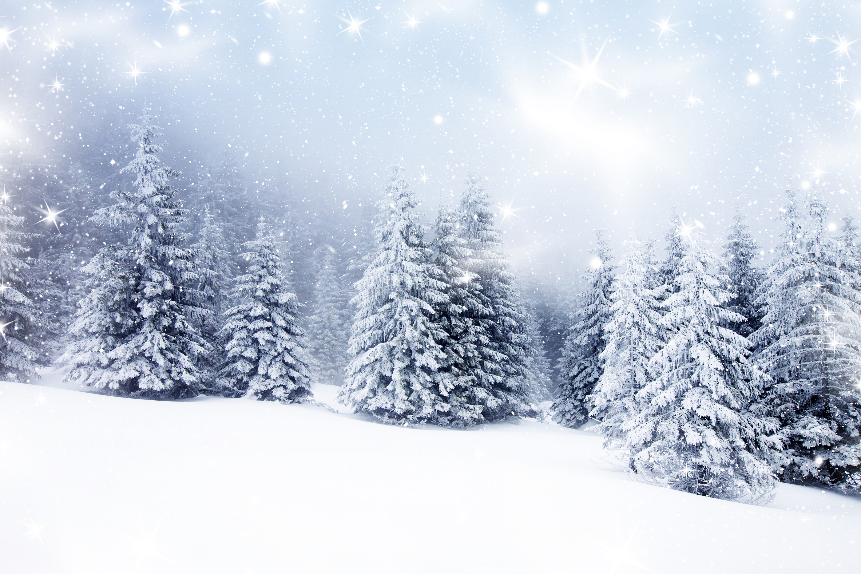 Sacred Christmas Blessings