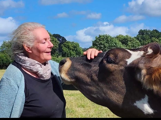 Hugletts Wood Farm Animal Sanctuary