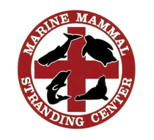 Marine Mammal Stranding Center.png