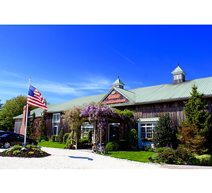 cape may winery and vineyard.png