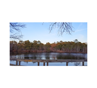 Birch Grove Park.png