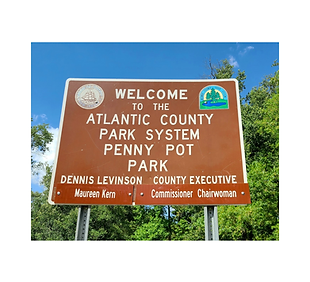 Penny Pot Park.png