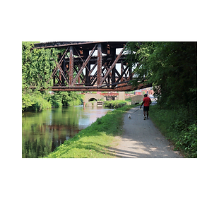 Delaware Canal Skate Park.png