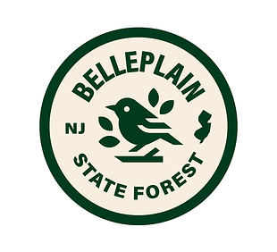 belleplain state forest.png