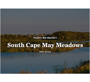 south cape may meadows.png