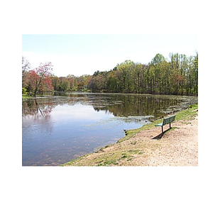 Silver Lake PArk.png