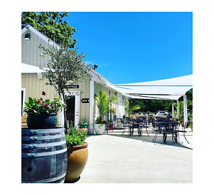 Turdo Vineyards and Winery.png