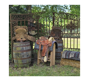 purepecha ranch.png