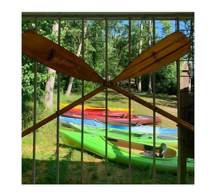 ants canoes and kayaks.png