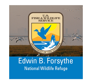 edwin b forsythe.png