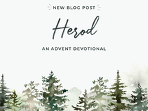 Herod: an advent devotional