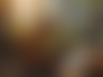 Search bar Christianity