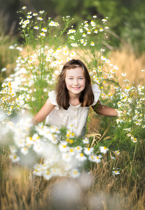 verspieltes Portrait eines Mädchen im Kamille Blumenfeld bei warmem Sommerlicht