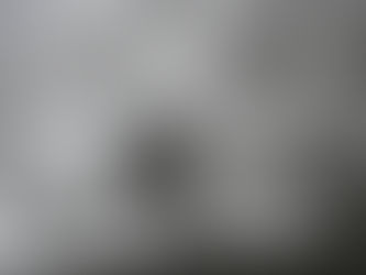 Obrigado por tudo, Shulamit