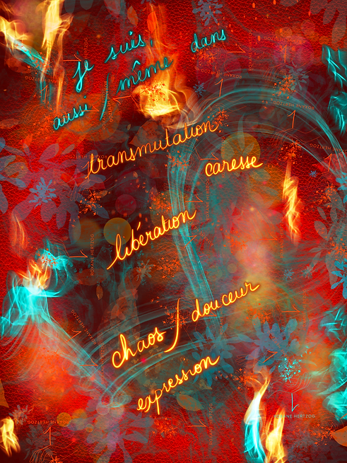 IMG_0135.PNG
