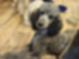 Zukie