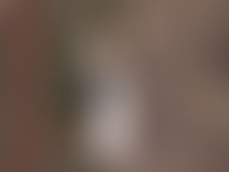 🎬 Przyjacielska perswazja (1956)