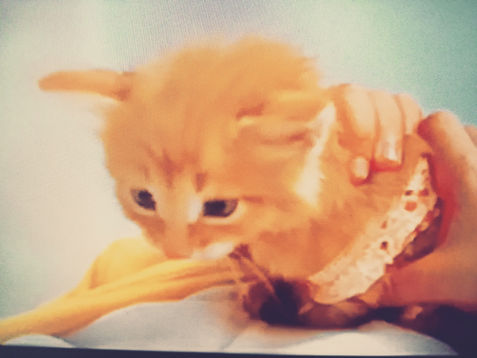 🎬 Kłamczucha (2020)