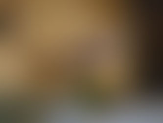 🎬 Ośmiornica w moim domu (2019)