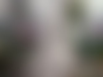 🎬 Jak zabić starszą panią (1955)