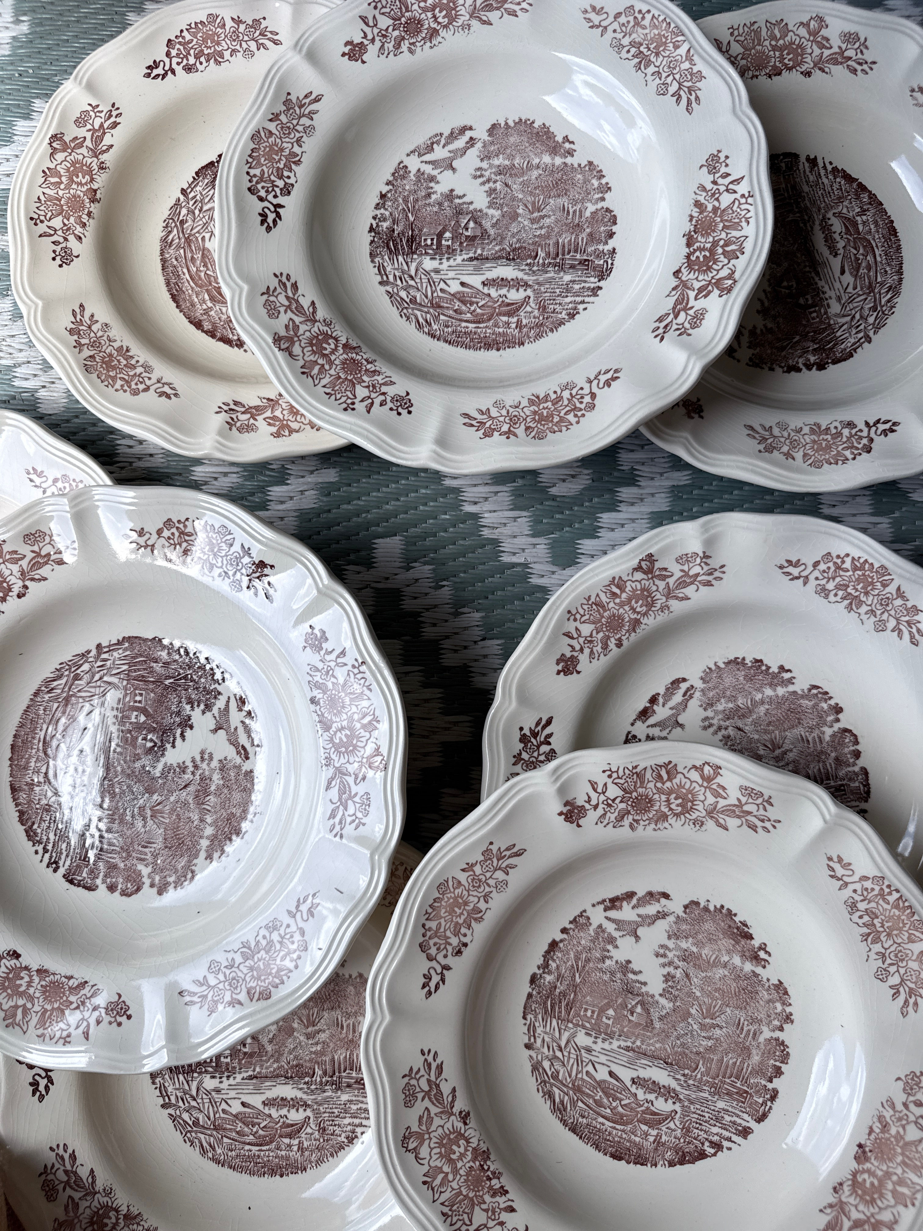 12 assiettes semi-creuses