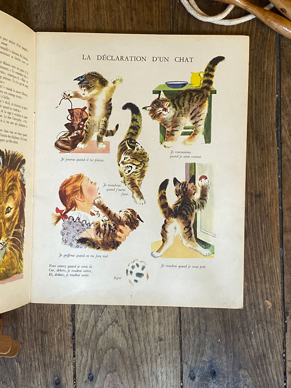 Thumbnail: Le grand livre des chats