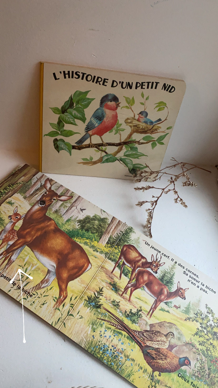Thumbnail: Deux livres vintage