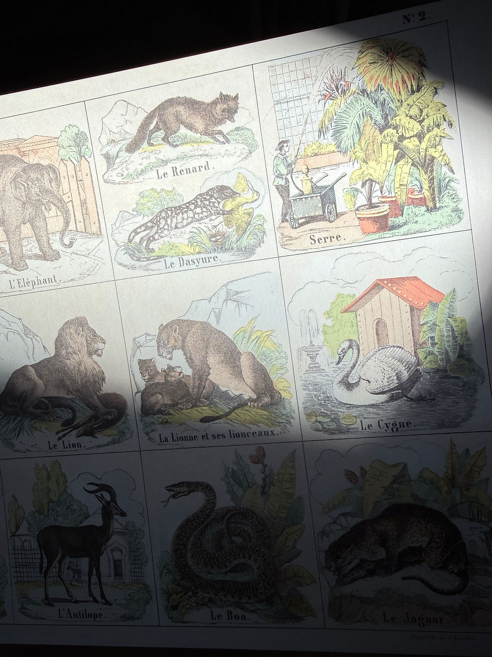 Thumbnail: Affiche Le Jardin des Plantes