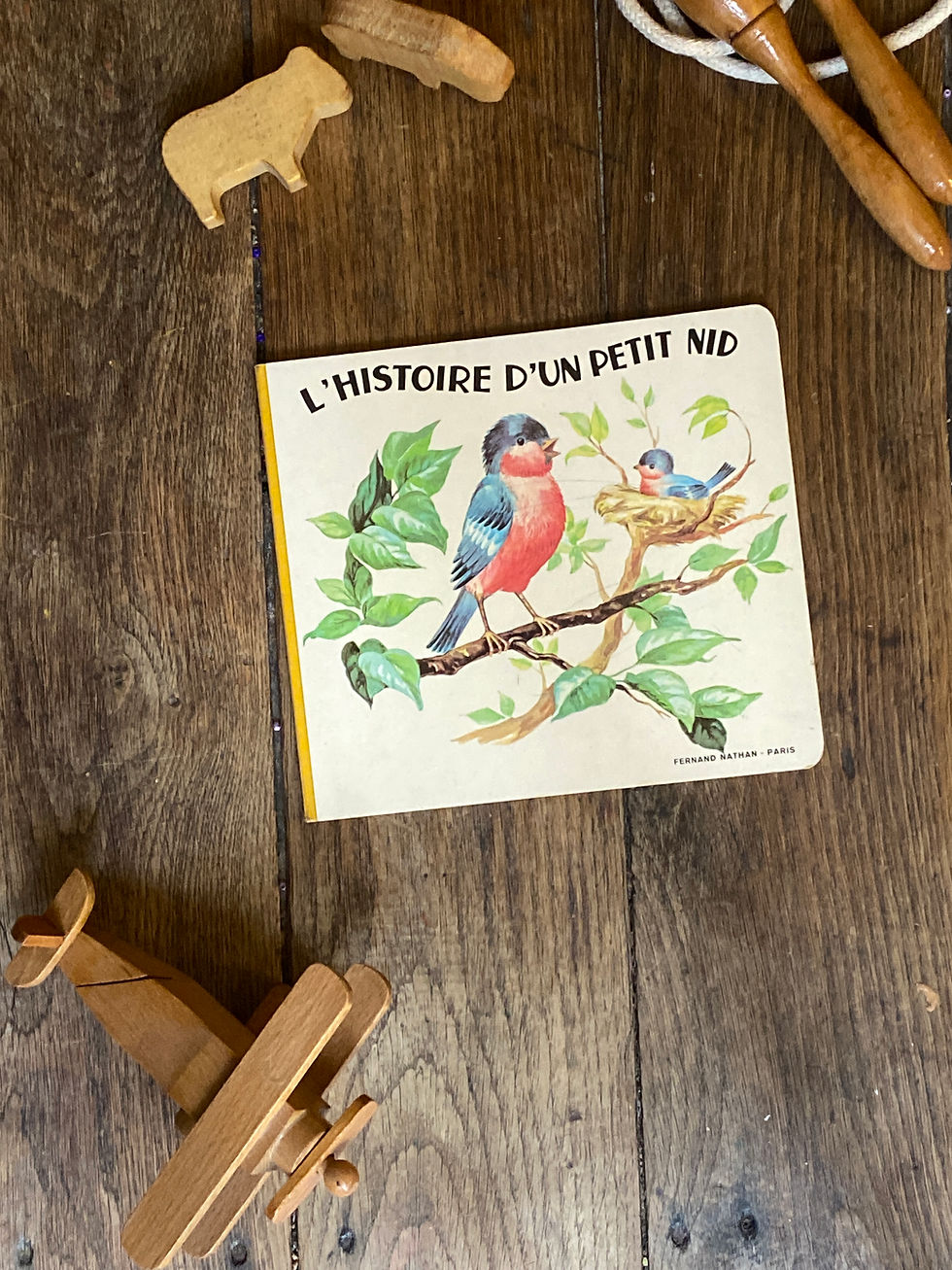 Miniature : Deux livres vintage