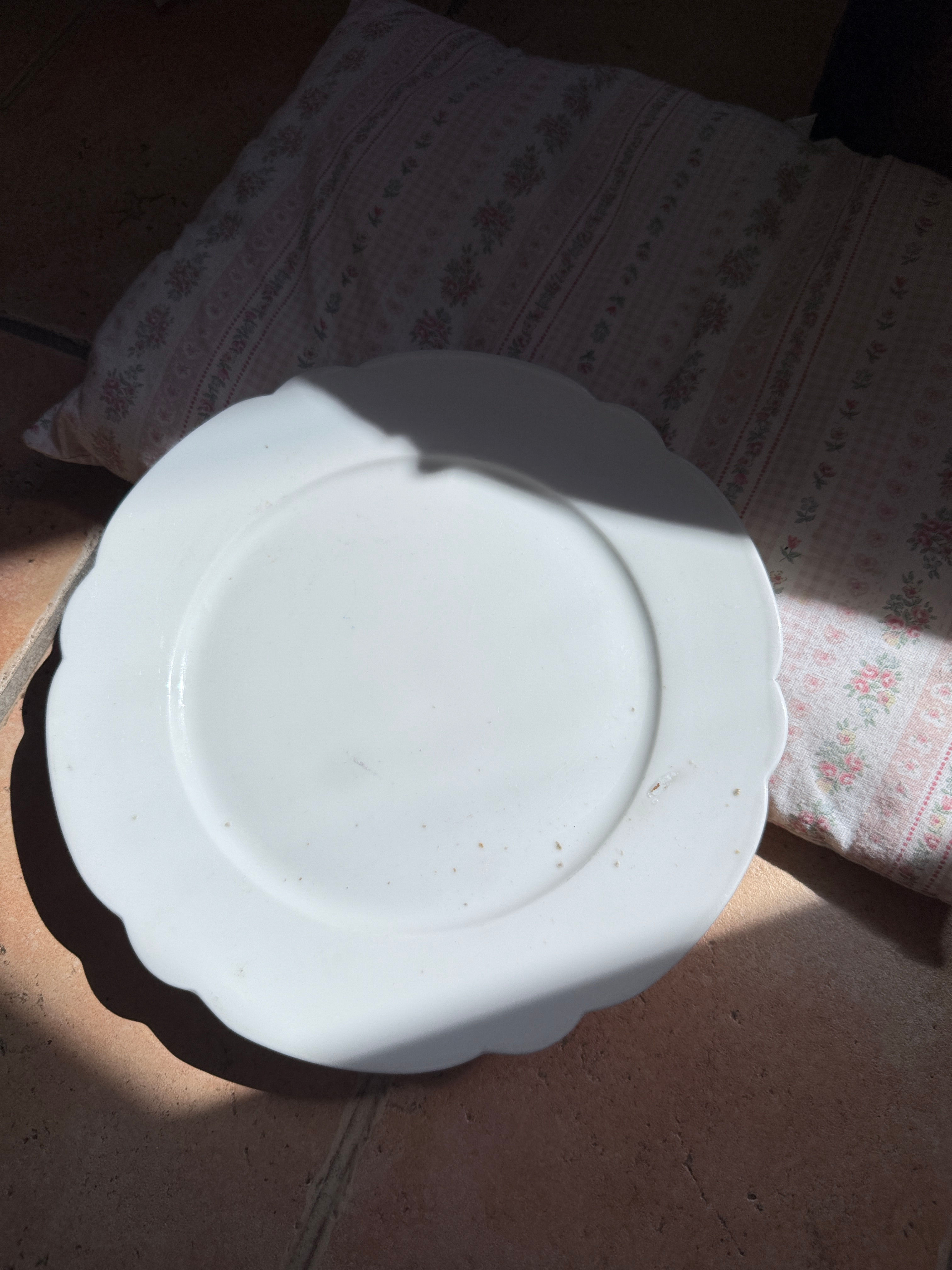 Assiette montée