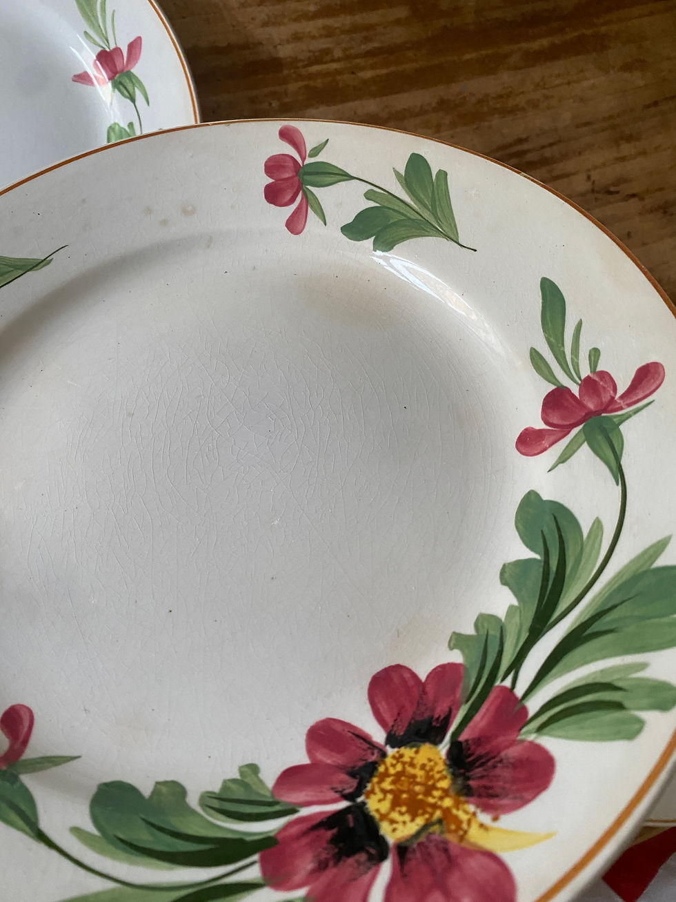 Thumbnail: 6 assiettes fleuries