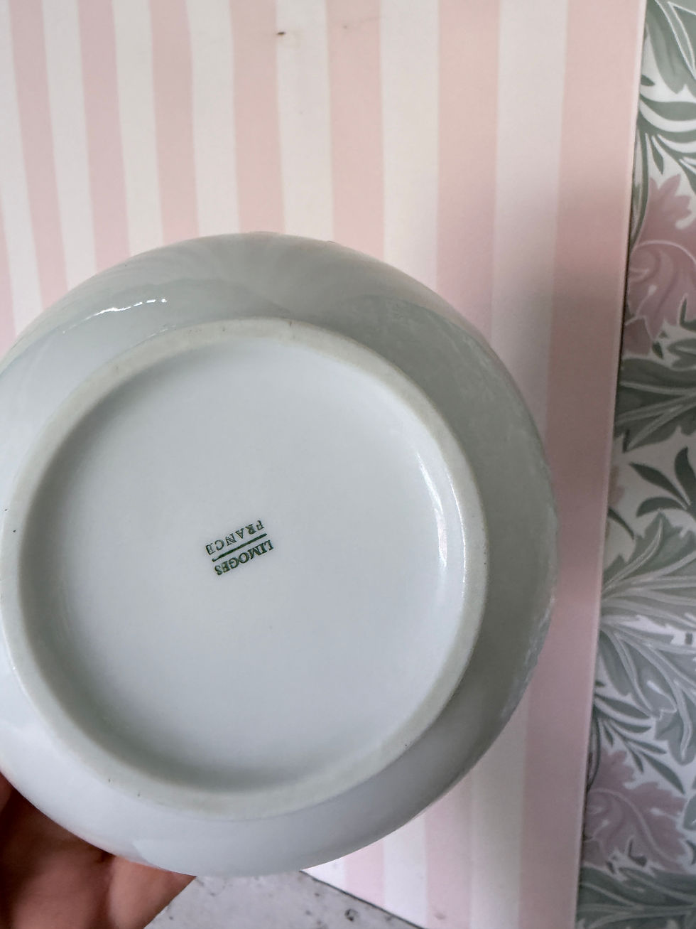Thumbnail: Bol porcelaine fruits