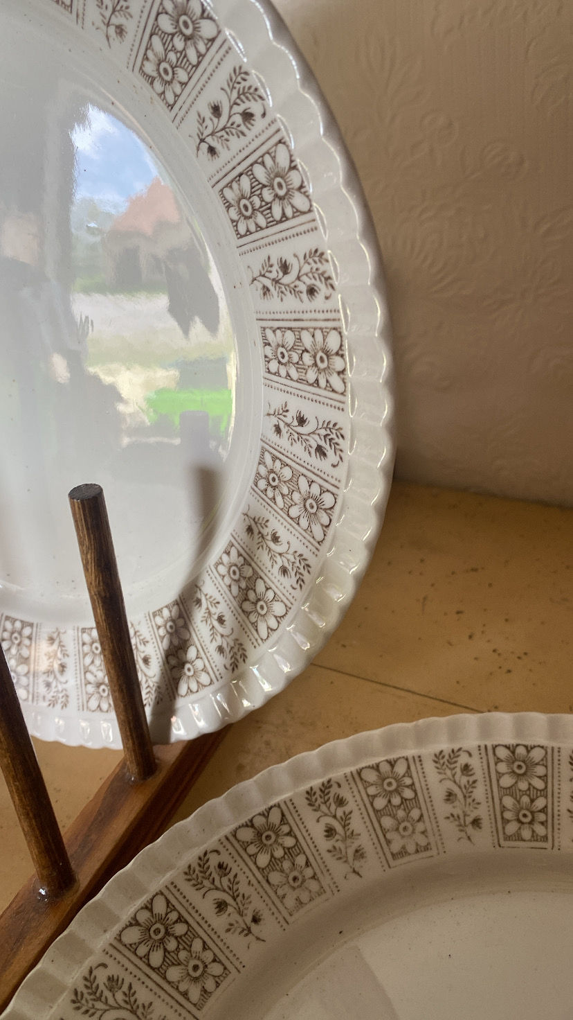 Thumbnail: 9 assiettes plates fleuries